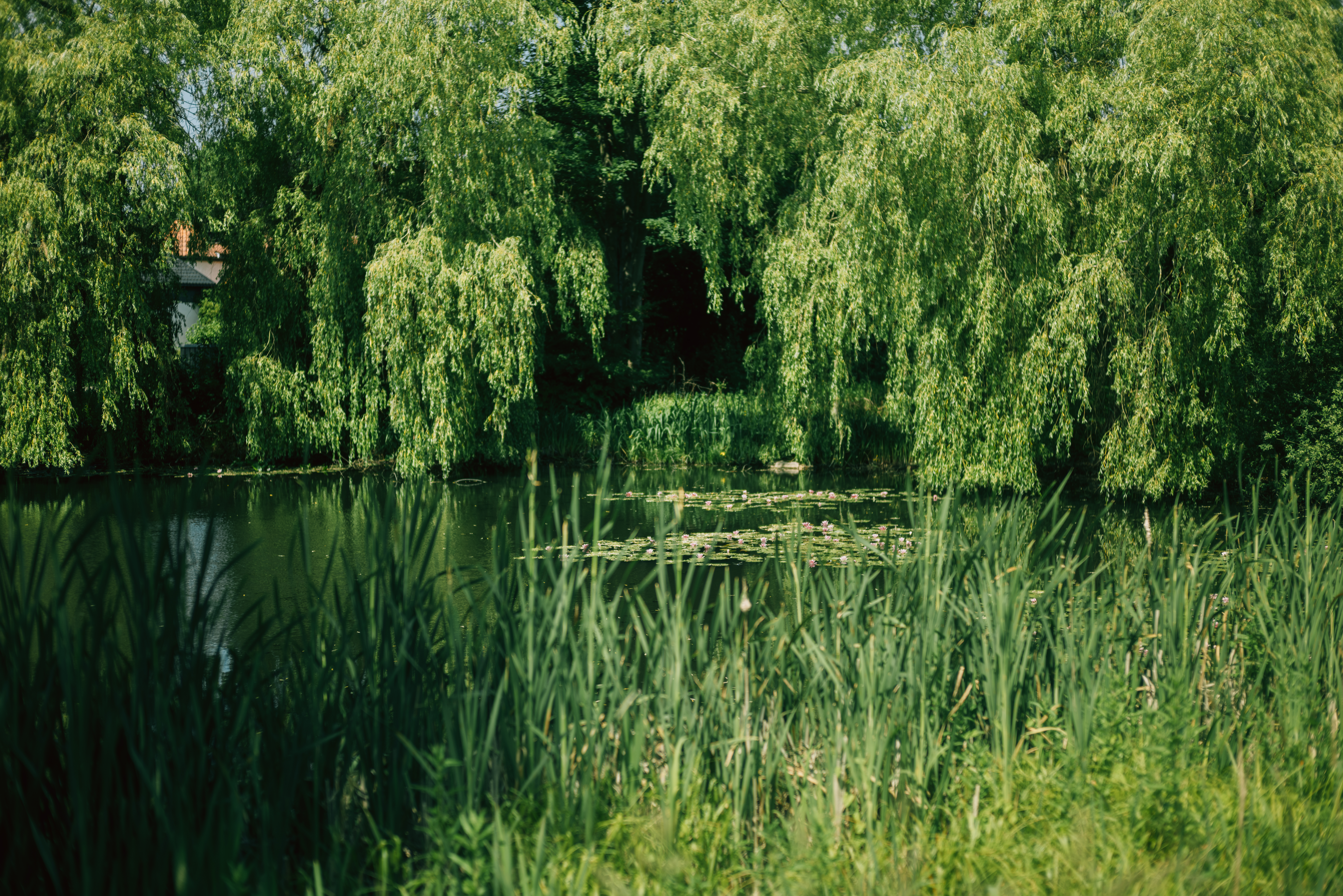 Velfærd, tryghed og fællesskab